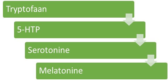 schema tryptofaan-melatonine