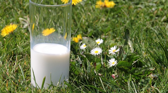 Wat je moet weten over melk....